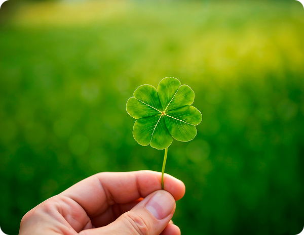 iZap Softworks - Hello world!